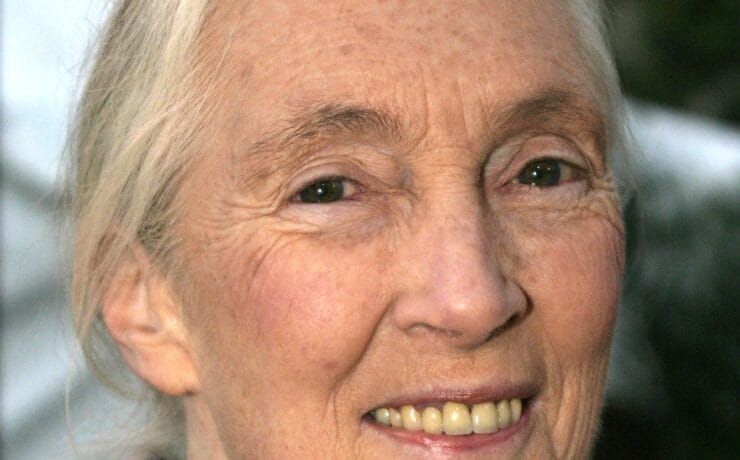 Jane Goodall