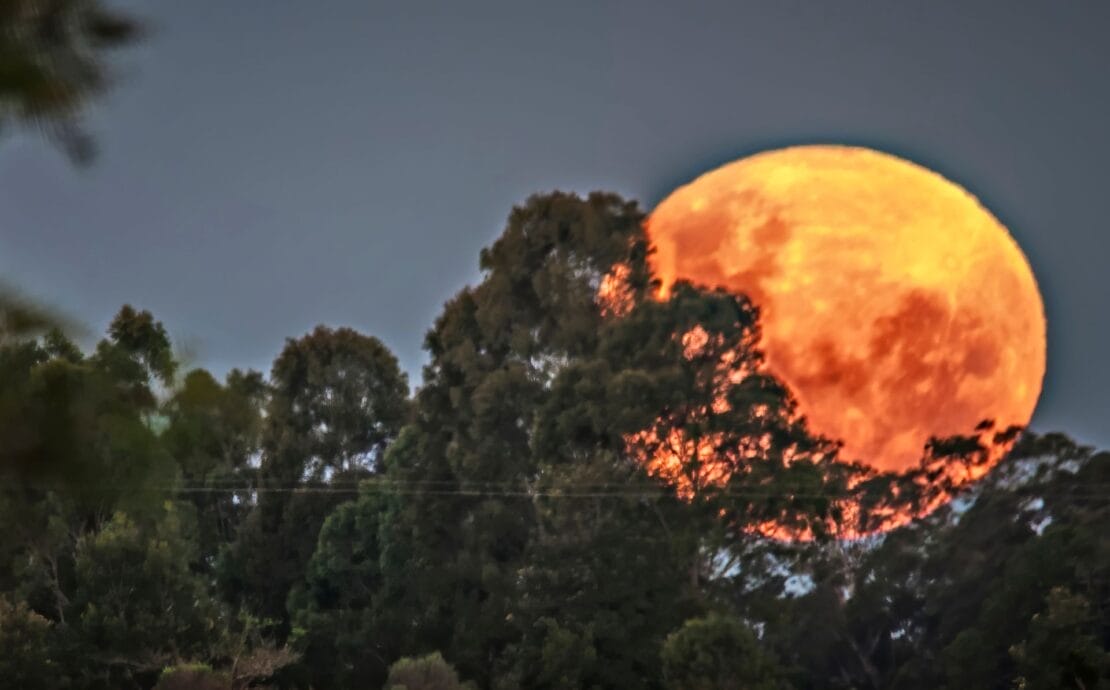 2025 Taurus Full Moon